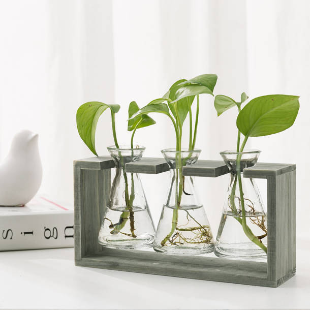 Arlmont & Co. Decorative River Rocks Vase Fillers & Reviews Wayfair